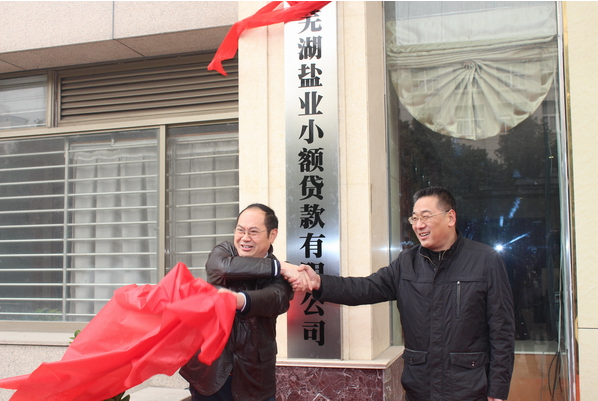 芜湖腾博汇游戏官网小额贷款有限公司12月26日举行开业庆典