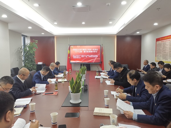 安徽腾博汇游戏官网地产集团公司开展新一轮深化“三个以案”警示教育集中学习